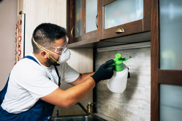 Pest Control for Restaurants in Loch Lomond, VA