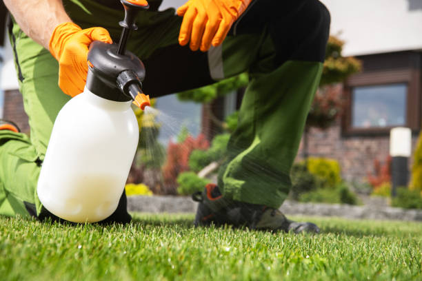 Best Pest Control Cost  in Loch Lomond, VA