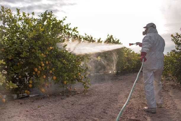 Pest Control Cost in Loch Lomond, VA