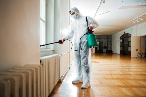 Trusted Loch Lomond, VA Pest Control Experts