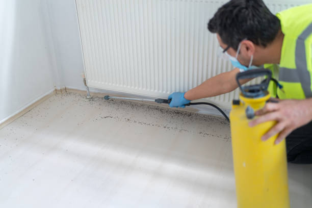 Best Mosquito Control Services  in Loch Lomond, VA